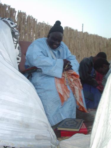 cheikh alioune cisse fils de niambe darou
